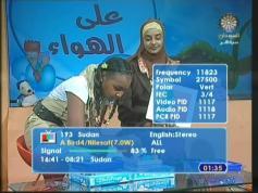 DVB QUALITY Sudan TV Nilesat 101 V