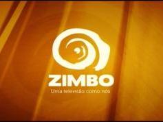 Eutelsat Sesat at 36.0 e _ 11 664 H DVB-S2 8PSK Zimbo tv Africa info card